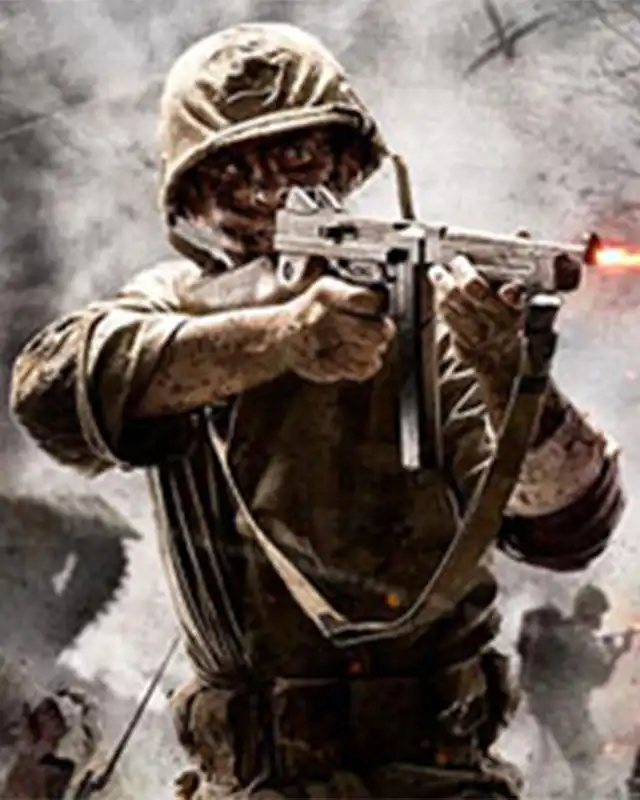 Call of Duty 2 Cover