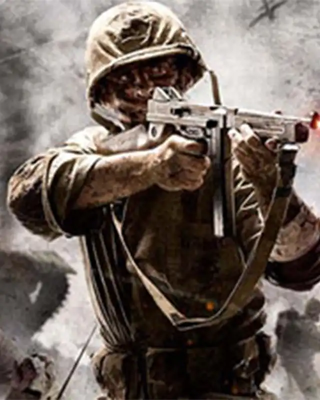 Call of Duty: World at War Cover