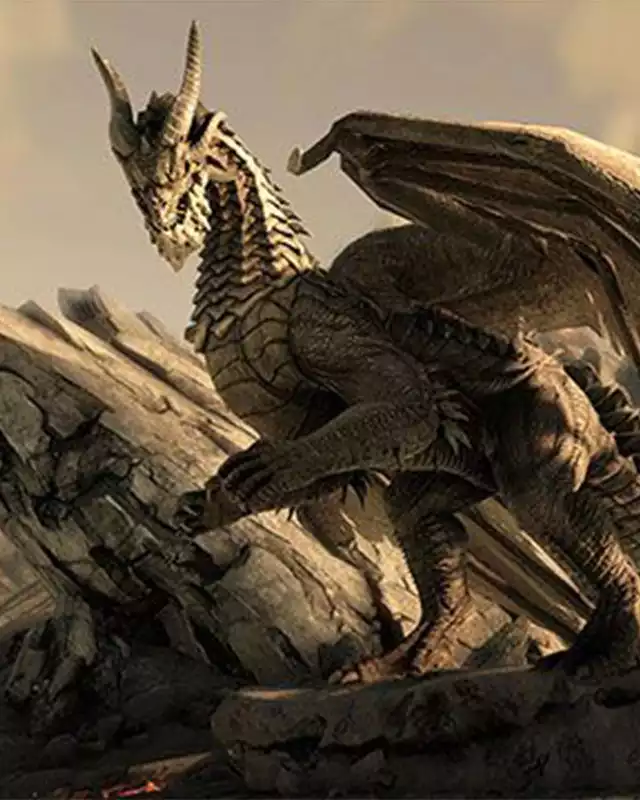 Dark and Light Cover