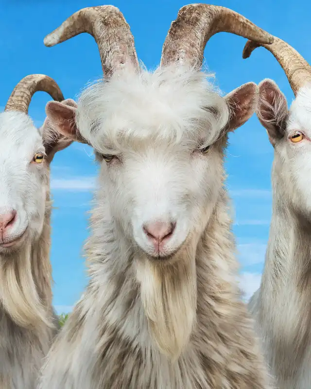 Goat Simulator 3 Cover