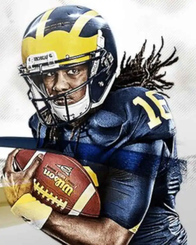 NCAA Football 14 Cover