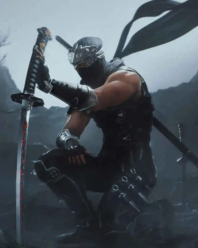 Ninja Gaiden 2 Black Cover