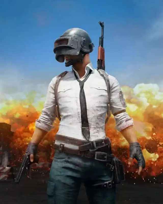 PUBG: Battlegrounds Cover