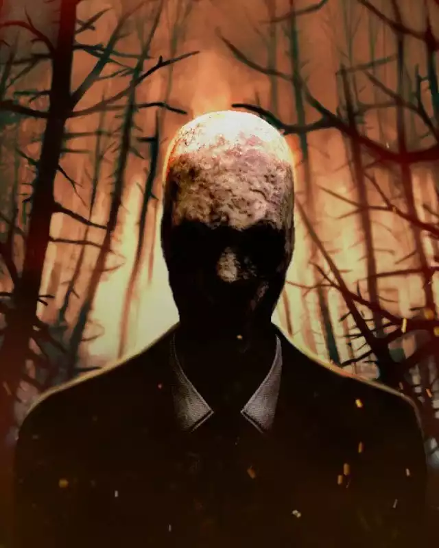 Slender: The Arrival Cover
