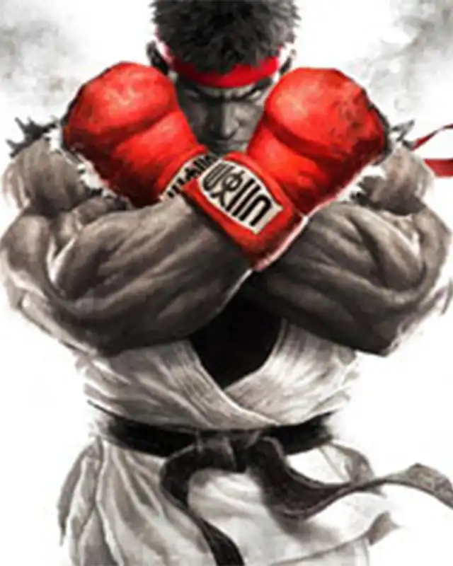 Street Fighter V Cover