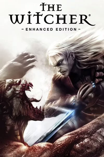 The Witcher Cover