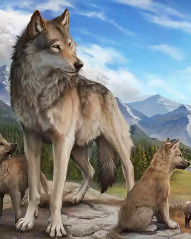 WolfQuest: Anniversary Edition Cover